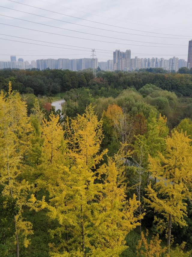 徒步穿越西流湖，赏秋正当时