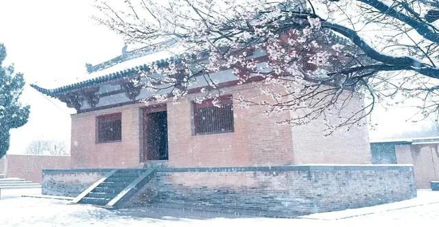 黄河!天鹅!壁画!美食!四条主题线路打开初冬的N种游玩方式