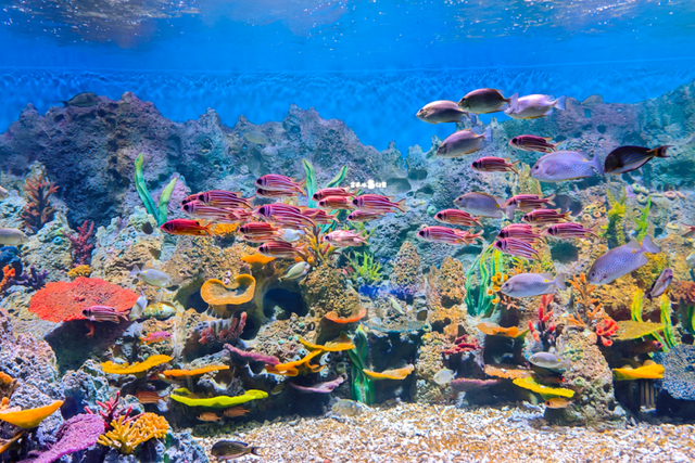 刷爆番禺人朋友圈的新地标，18000㎡的空间究竟藏着什么？