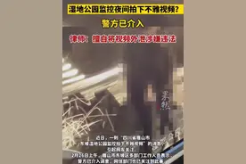 眉山湿地公园情侣不雅行为监控录像流出，隐私权与公共道德引热议图片