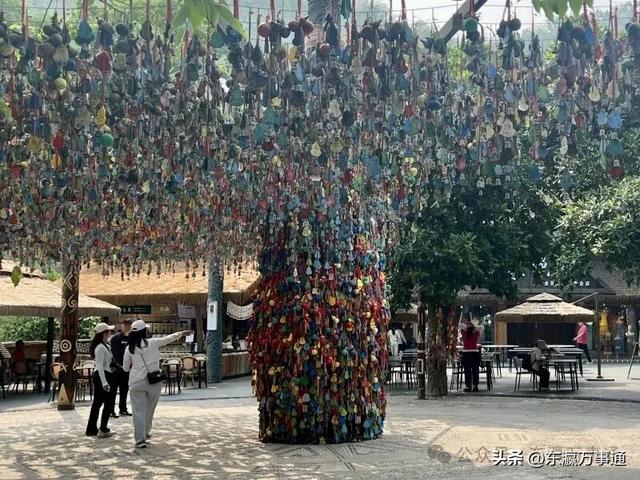 华媒走进西双版纳原始森林公园:看孔雀飞舞 访爱伲山寨 探原始森林