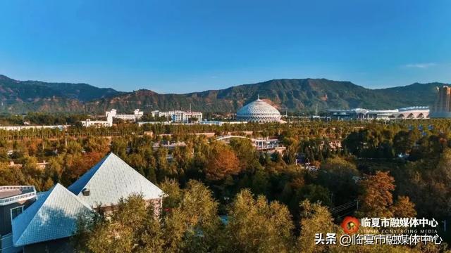 飞阅花都④丨漫步东郊公园 邂逅秋日风光 静享“天然氧吧”