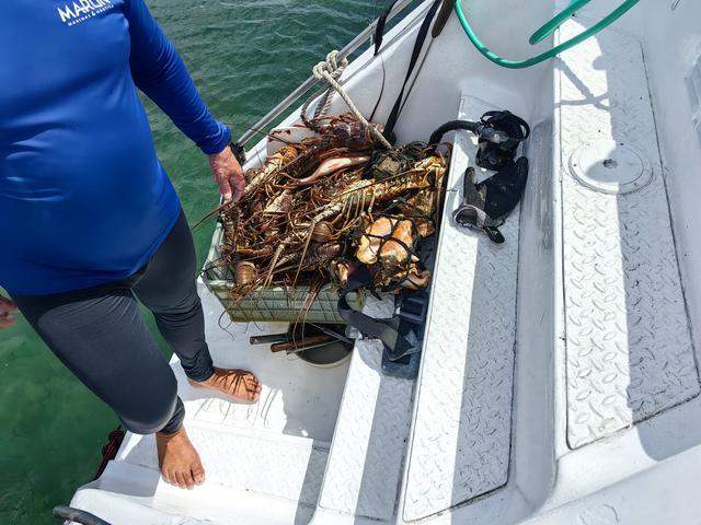 古巴——我的境外旅游第十站（第二篇）