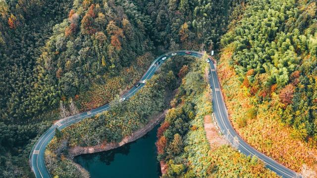 秋冬景观大道，10月下旬-11月，适合自驾赏秋的6条线路