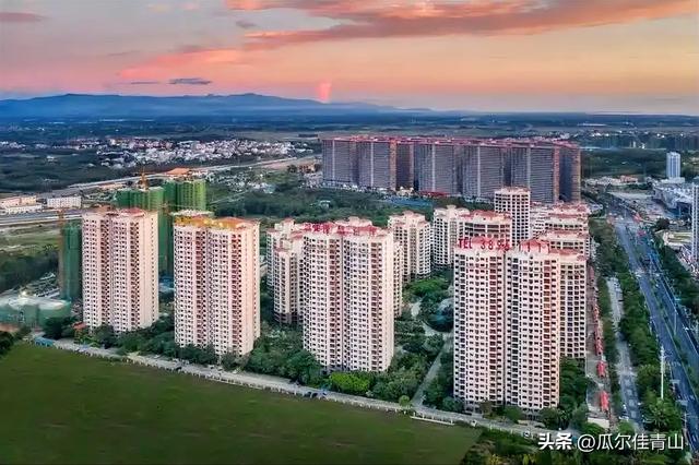 因老家寒冷，我成了追着暖阳飞的候鸟，已把海南当成“第二故乡”