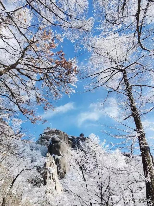 好客山东好品山东｜初雪来了！山东变山“冬”