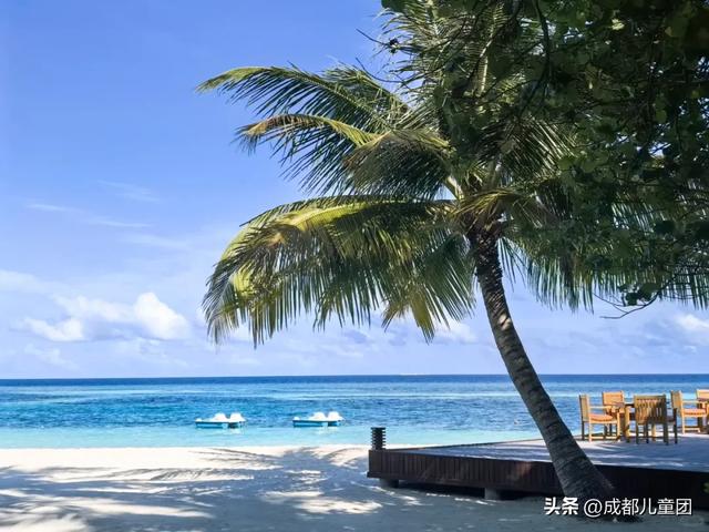 暑假旅游，就是换个地方写作业？全世界都在偶遇写作业的中国孩子