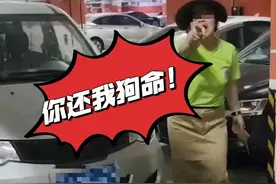 女子遛狗砸车后续，立案俩月人玩失踪，车主：她被自家狗反咬了？图片