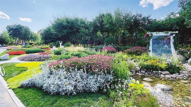 呼和浩特花境“画境”:以植物为笔 方寸间绘就生态画卷