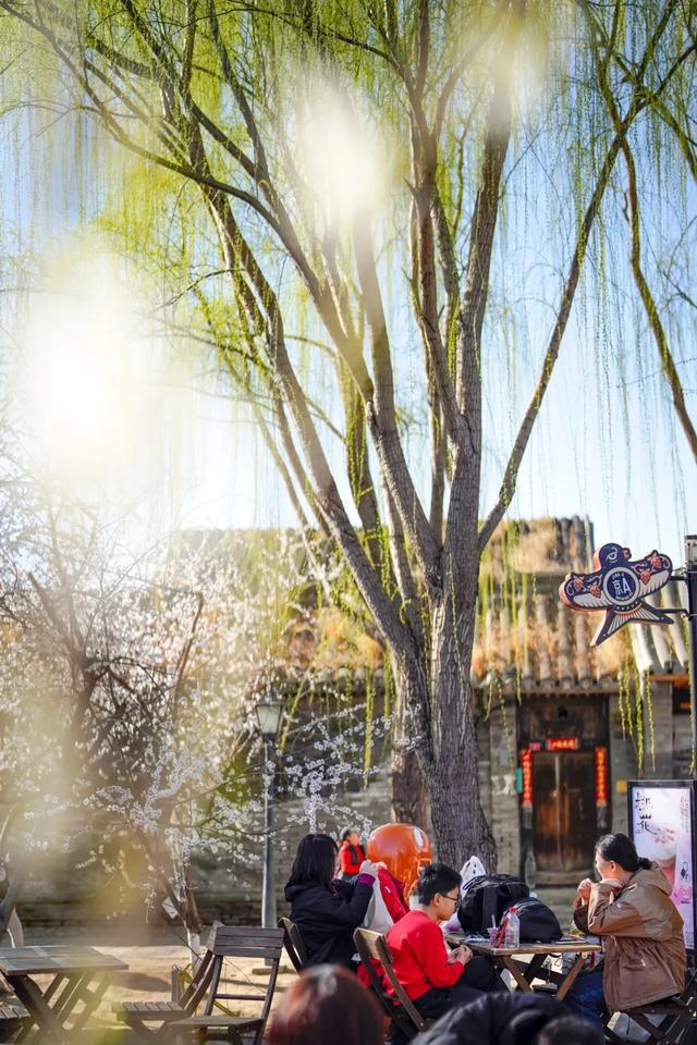 沿着7号线逛东城,解锁藏在一蔬一饭、一步一景里的“小确幸”→