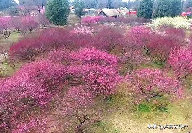 成都还开通这样的地铁线，真佩服！难怪旅游的人都往这里跑！