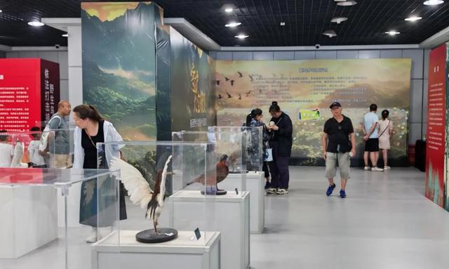 陕西科技馆暑期延时开放成效显著，科普盛宴燃旺科学热情