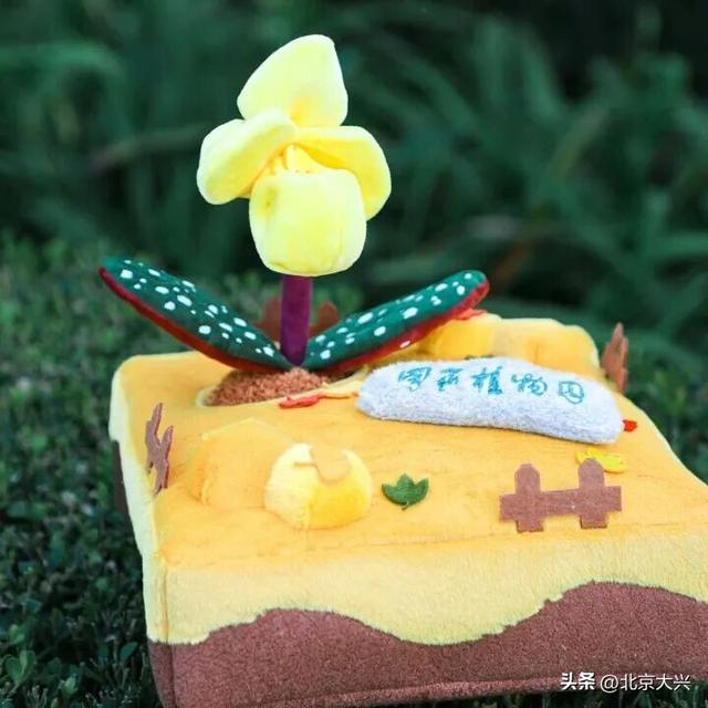 绝美！北京秋季颜值已达巅峰！这样定格最美秋天！