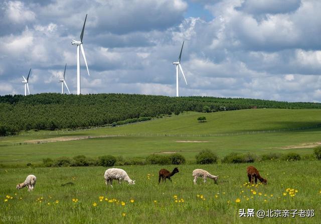 北京→乌兰布统 5 天草原自驾全攻略