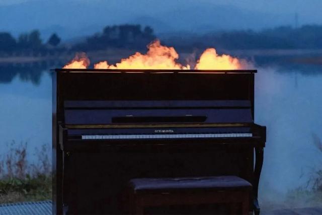 听雪·观火·遇爱｜山岛里的冬日诗篇