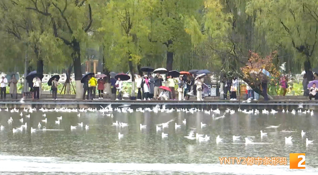 云南多地迎来初雪，你以为要出太阳了吗？不，雨季还没结束→