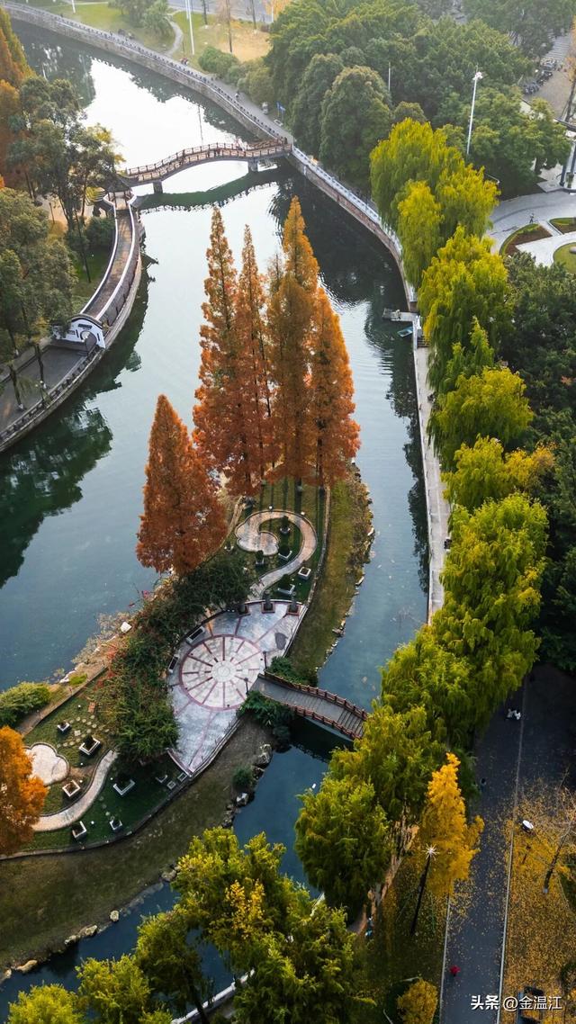 美不胜收！一起遇见温江五彩斑斓的冬~