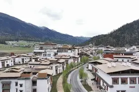 广东⇄林芝，“双向奔赴”的30年......图片