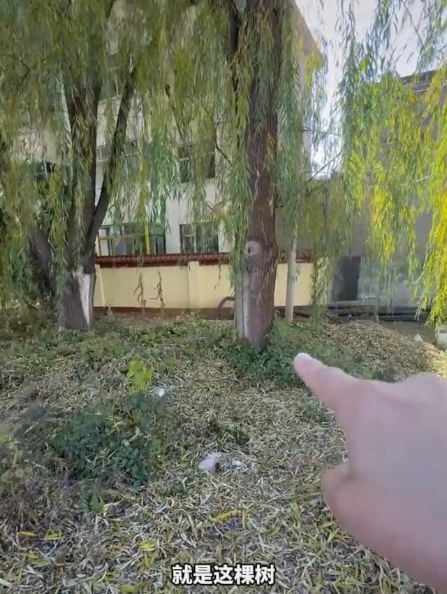 郭某刚案笔录披露：郭家人郭某荣的供词，很能说明案发当时的情况