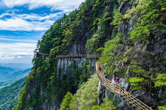 双十一不止买买买！明月山邀你开启天然氧吧之旅