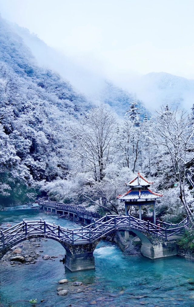 【雪景预告】看雪不必出远门！雅安的冬天超超超美！