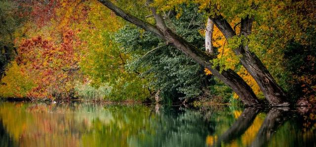正式通车！全线免费！新挖赏秋天花板小城，绝美彩林不输九寨！地道美食50元吃爽！