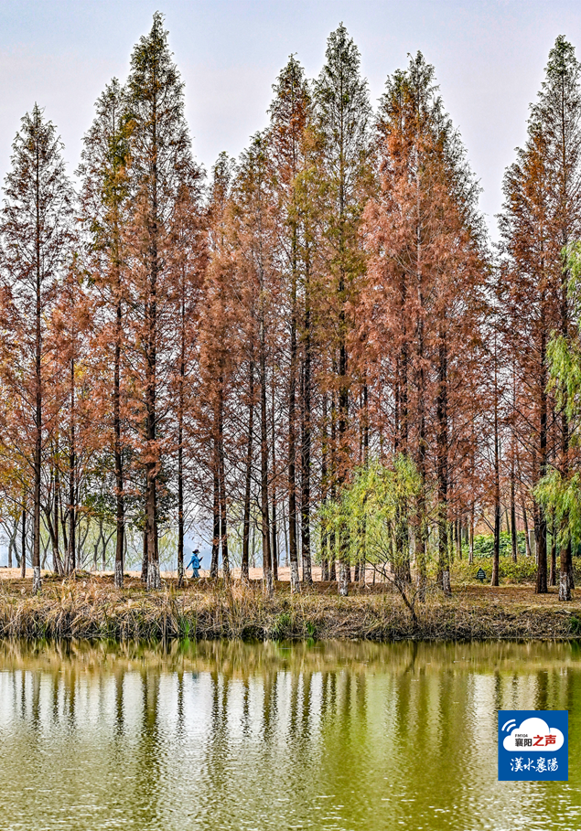 哎呀！谁打翻了襄阳“调色板”！