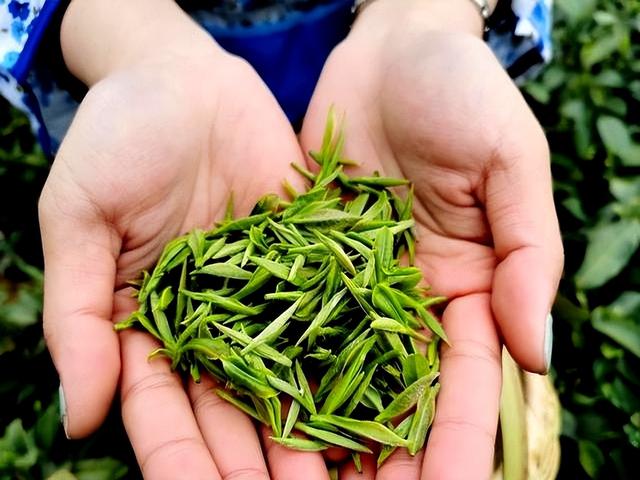 大量日本游客涌入北京，打着旅游幌子不去旅游不吃美食。为啥来？