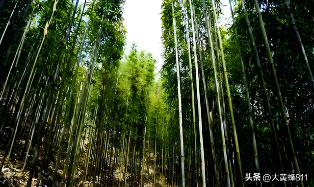 认识大美广东的每个县——第28波：怀集