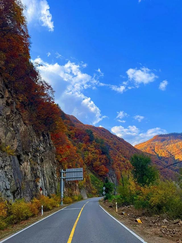 初雪与红枫共舞：11月自驾G331国道，探秘中朝边境的限定美景