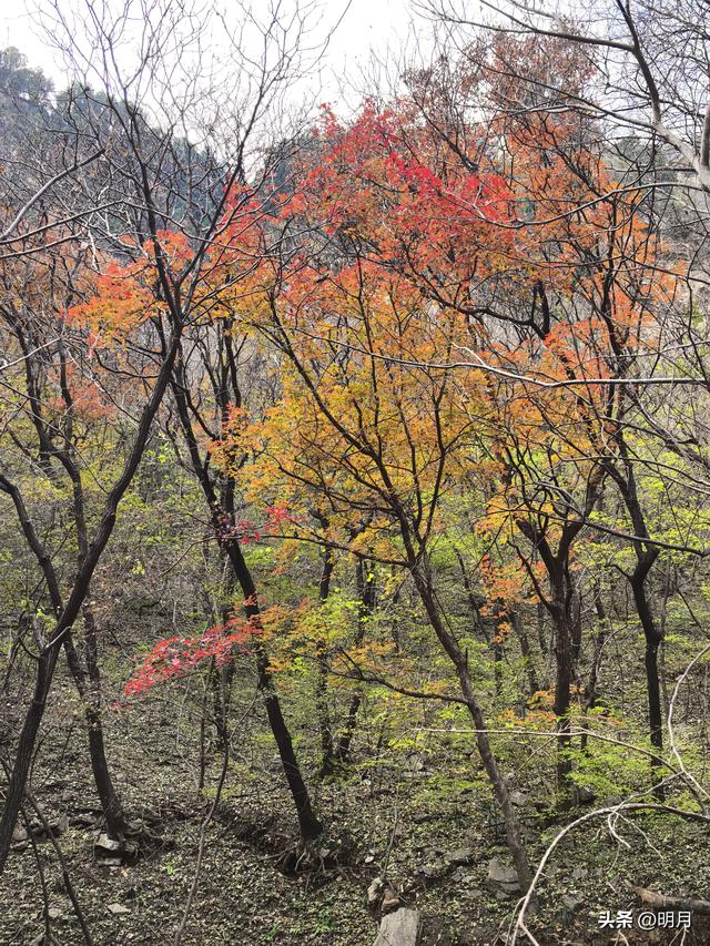 龙洞胜境尤奇崛