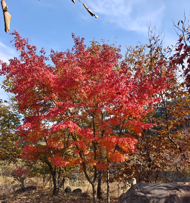 跟着色彩游临沂 | 斑斓秘境・山水写生之旅，解锁秋染沂蒙的N种美好