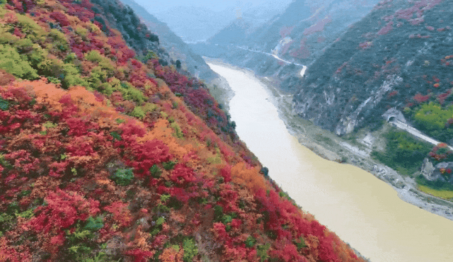 接下来的一个月，来汉中赏红叶就对了
