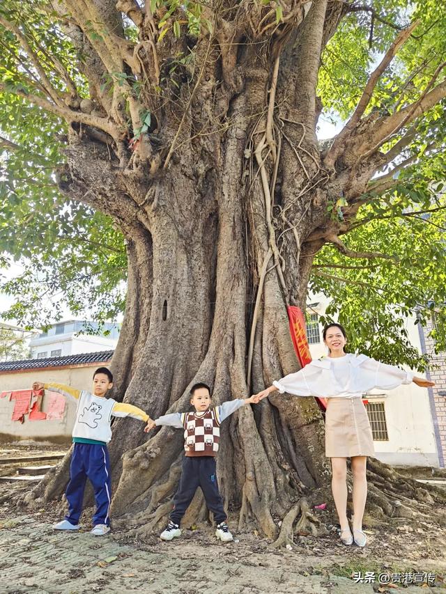 如果想暂别喧嚣,贵港周边这个地方很适合