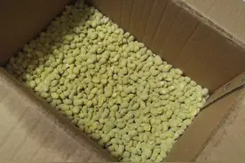 误打误撞用这个办法捂的霉豆子简单省时，而且0失败图片