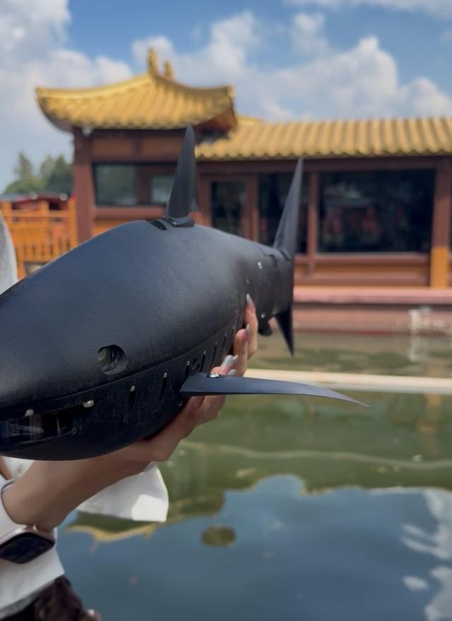 杭州西湖现仿生鲨鱼