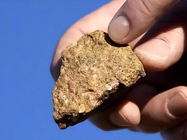 大结局要来？高市安排身后事，辞职条件已确定，中国73岁老将出山