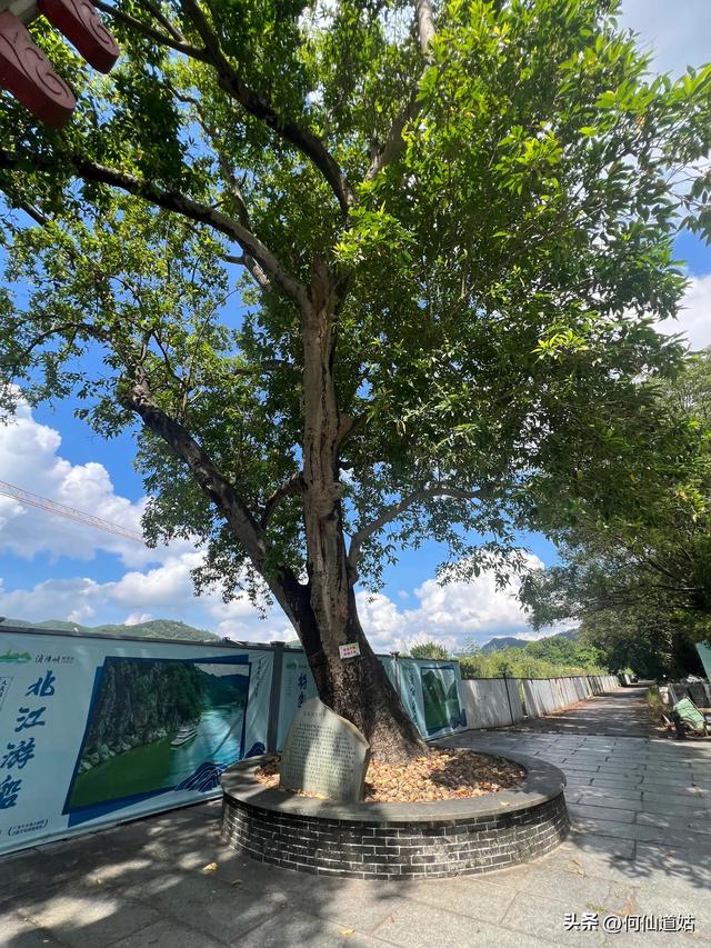 这就是现在的浈阳峡