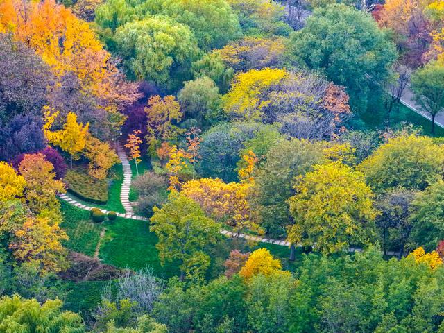 初冬访复圣文化园：与色彩和哲思对话