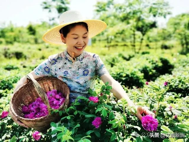 国家3A+1!新洲这个景区“糖分”已超标,有点好嗑,速来!