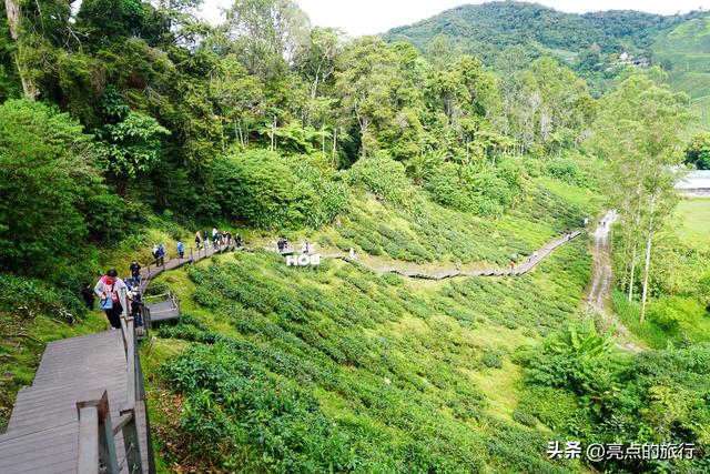 马来西亚的南洋旧梦（金马伦一日游）