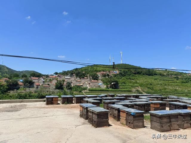 无为在歧路，章丘东南行