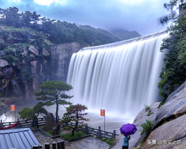 泰山东御道：看林深叶茂 听涛声隐隐