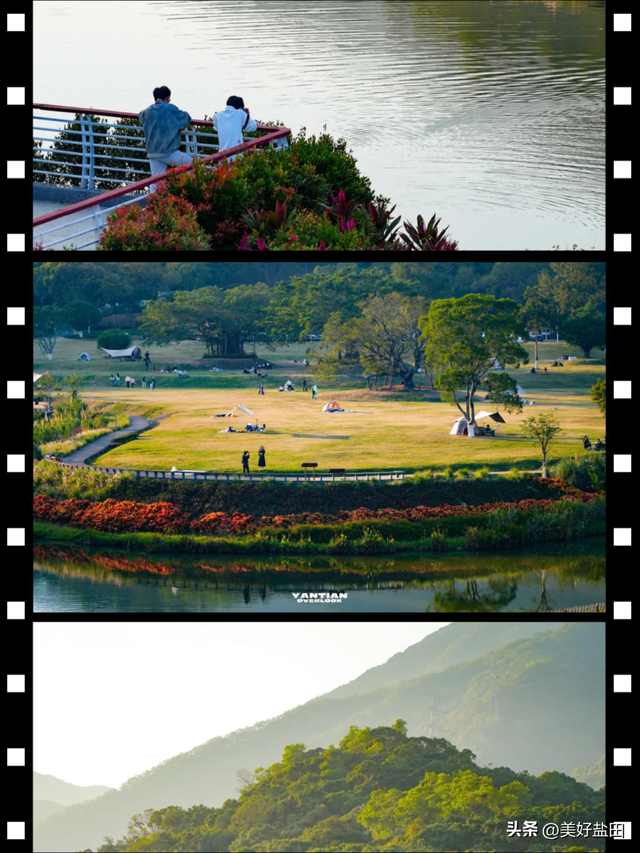 冬日限定！这里的落羽杉美出电影质感