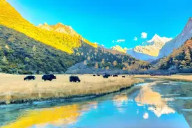 机关事业单位职员若月入5千，那全年收入是多少钱？图片