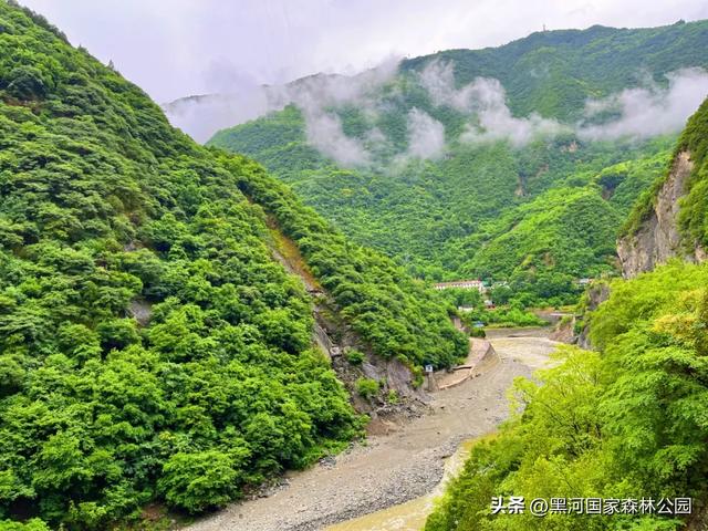 强烈推荐！适合全家出游的避暑胜地，清凉舒适风景美！