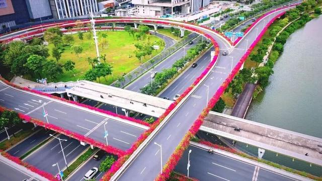 惊艳！南山60公里“空中花廊”来了~