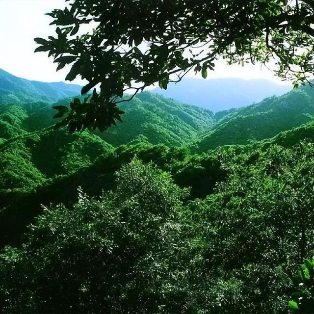 驻马店11个旅游景点攻略，除了嵖岈山你还去过哪个
