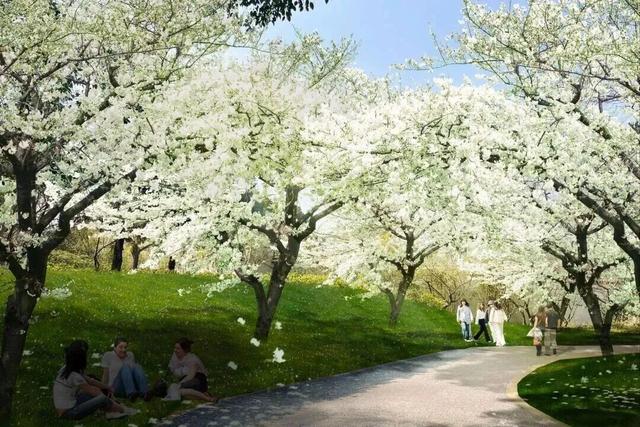 无锡又一大型雪世界，要来了！