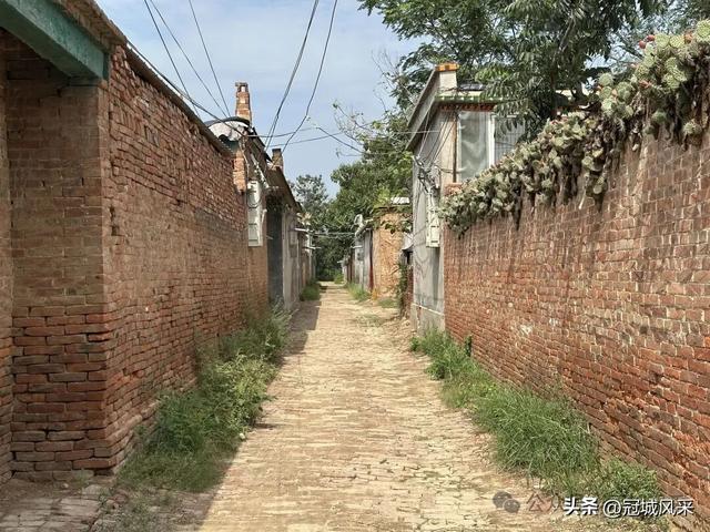 冠县乡韵·定远寨镇陈庄